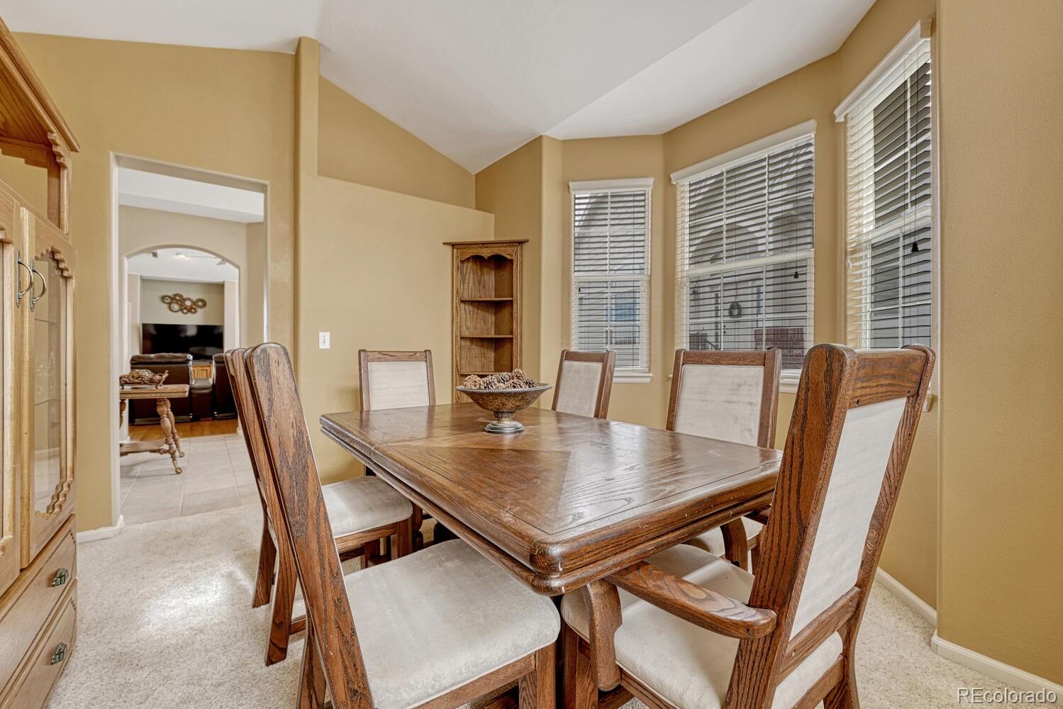 MLS Image #13 for 2809  newport circle,castle rock, Colorado