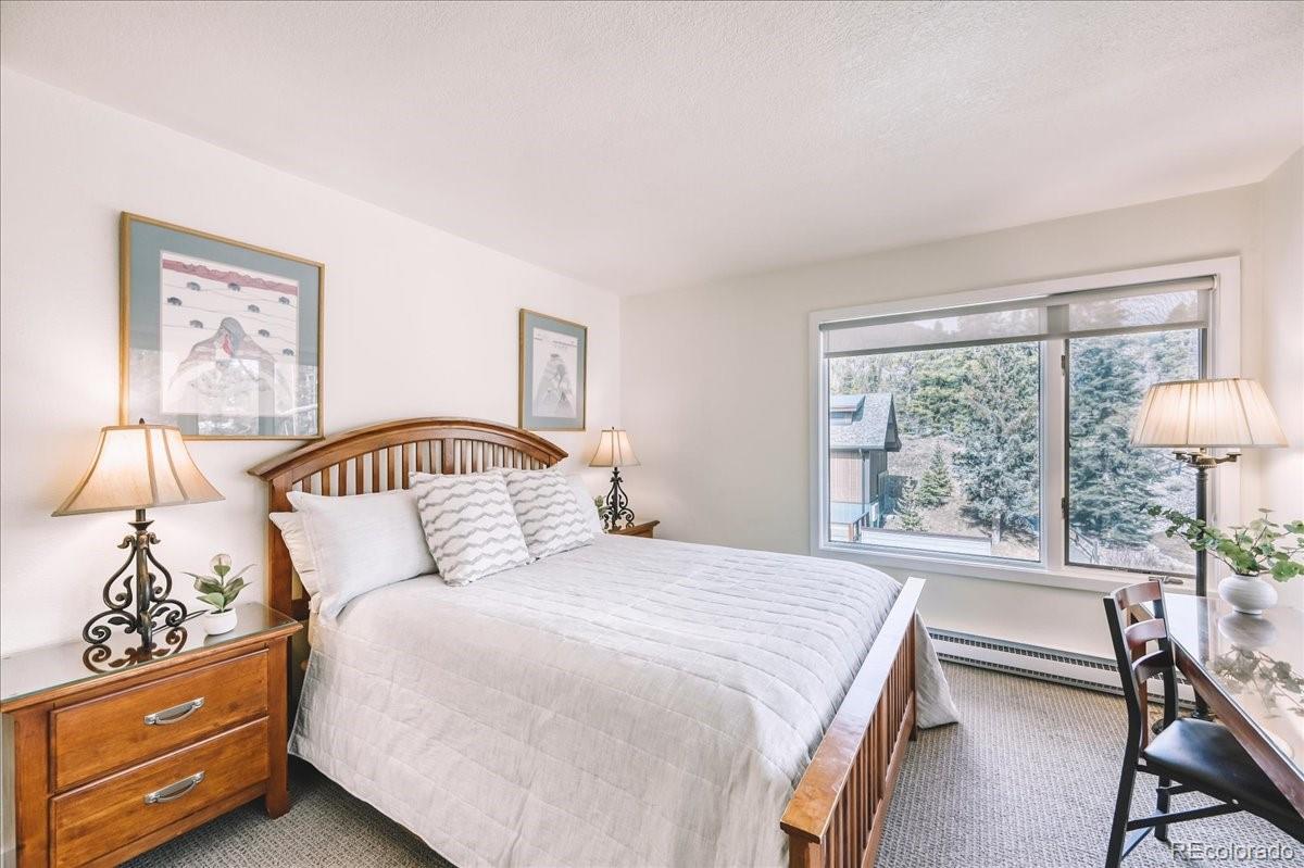 MLS Image #8 for 22280  us highway 6  1716,keystone, Colorado