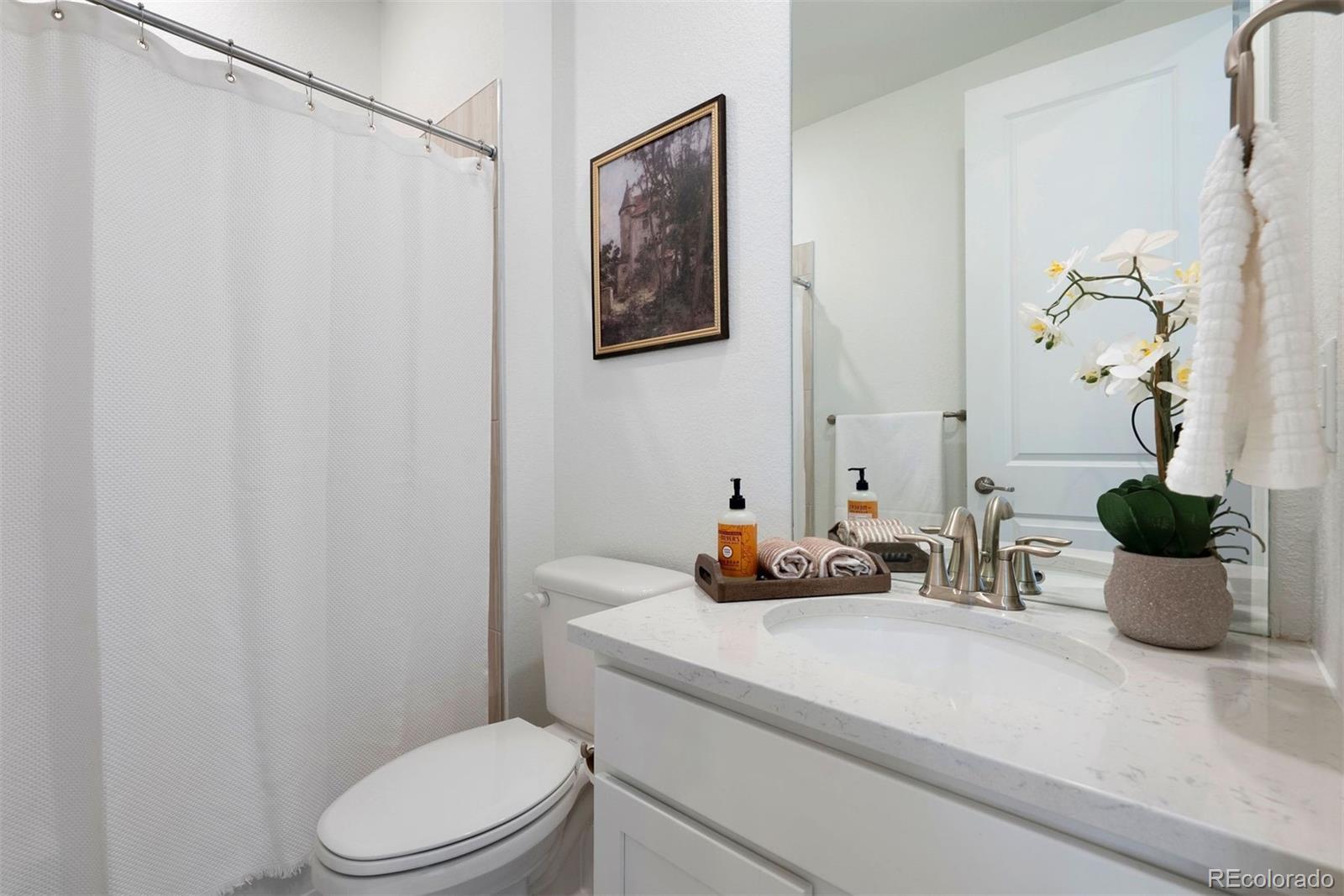 MLS Image #14 for 3893  doubletrack lane,castle rock, Colorado