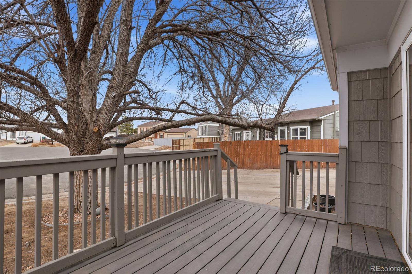 MLS Image #5 for 17860  fringed sage way,parker, Colorado
