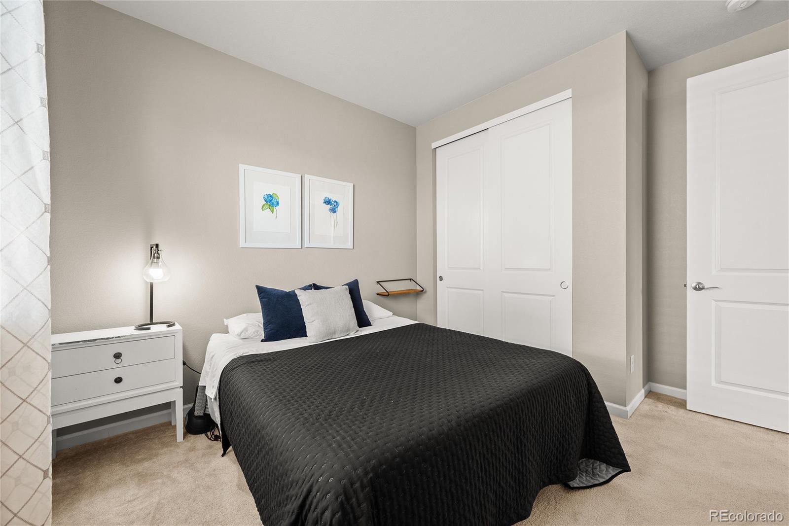 MLS Image #18 for 17717 e emilia drive,parker, Colorado