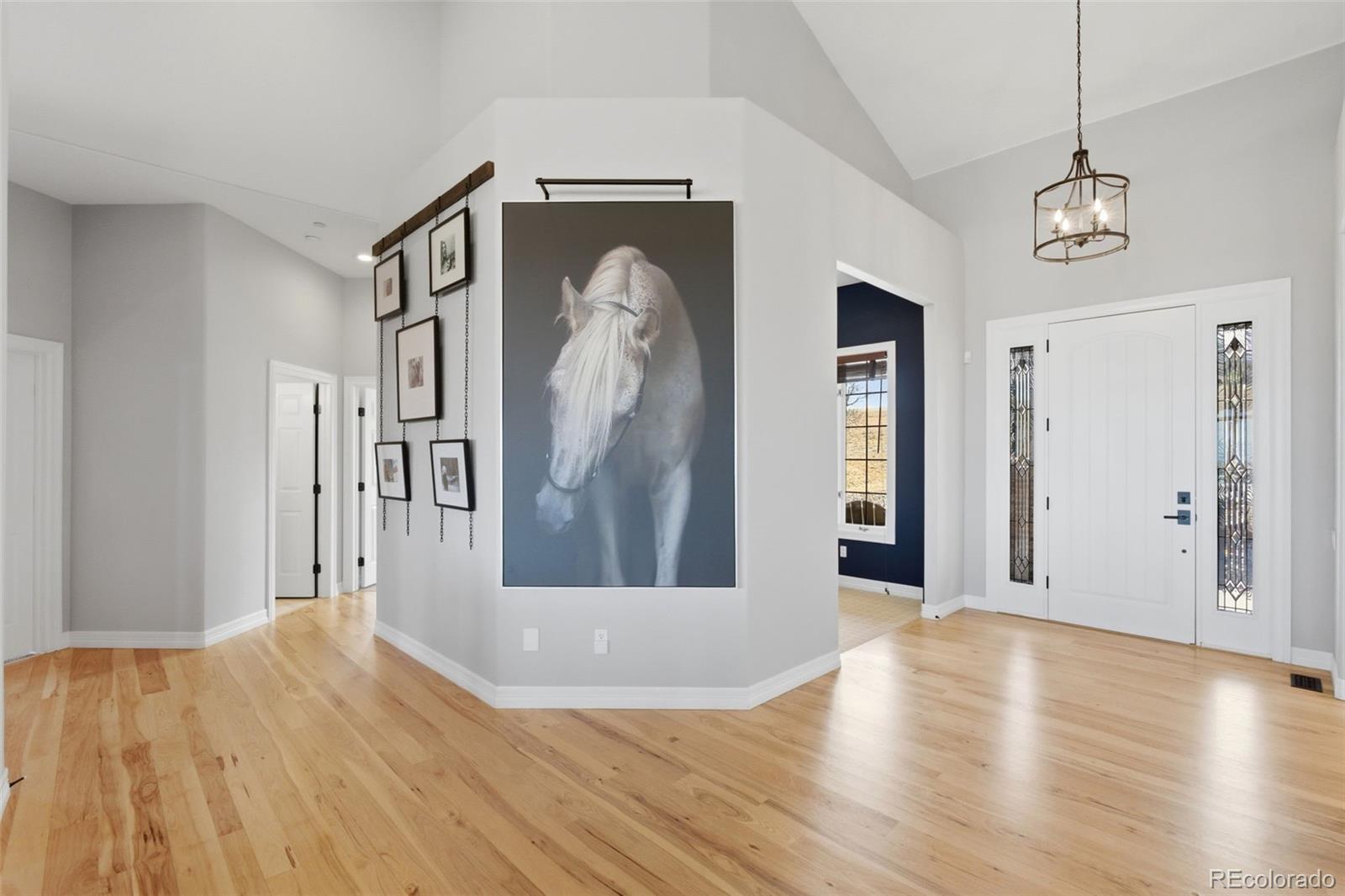 MLS Image #20 for 2455  marlin way,castle rock, Colorado