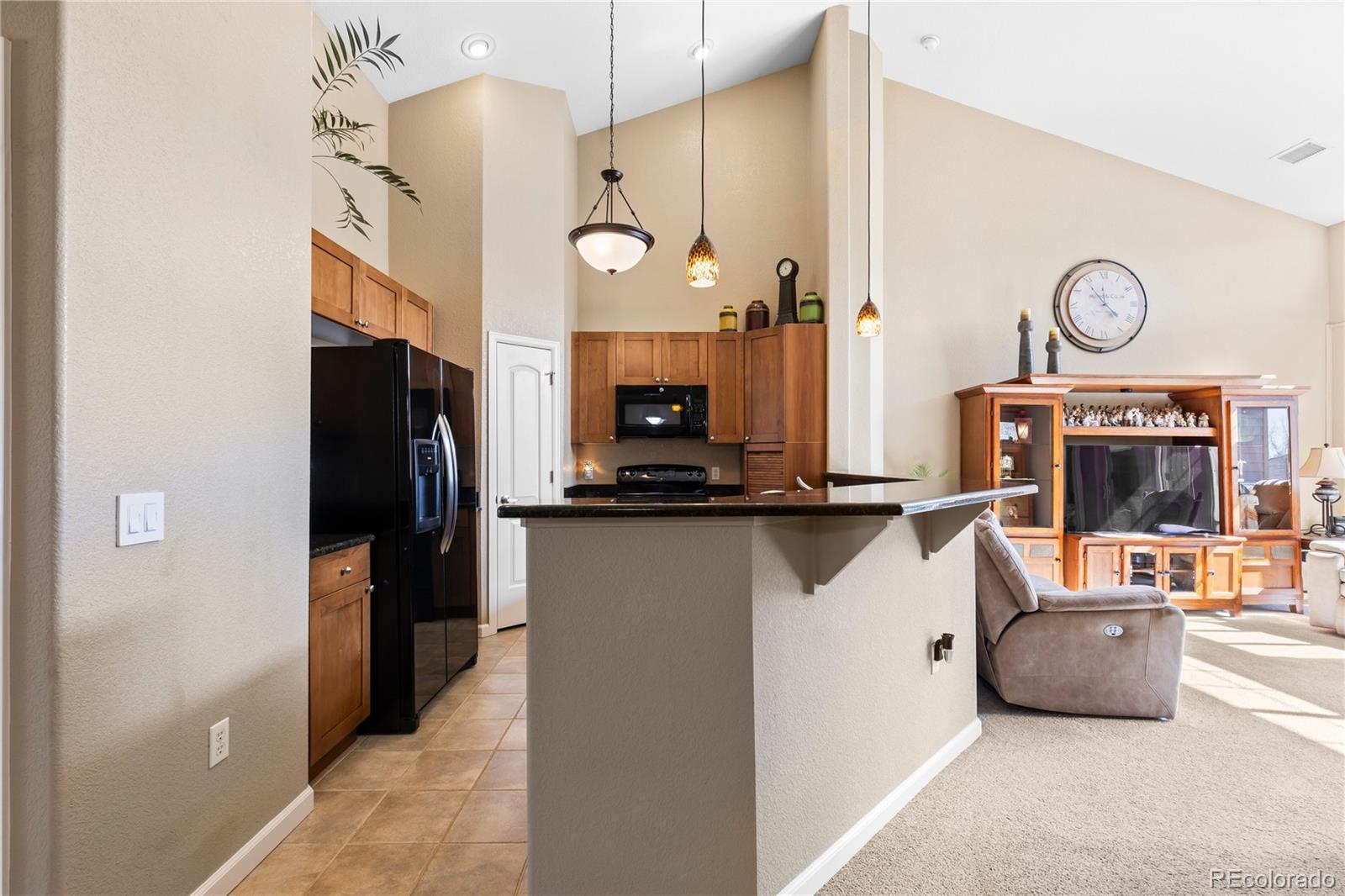 MLS Image #13 for 8614  gold peak drive,highlands ranch, Colorado