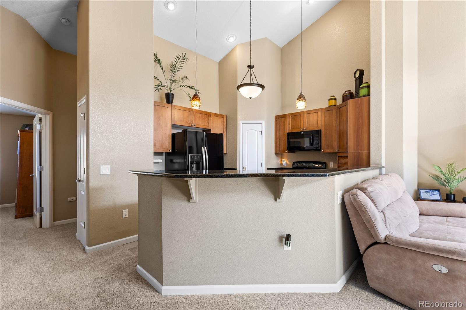 MLS Image #14 for 8614  gold peak drive,highlands ranch, Colorado