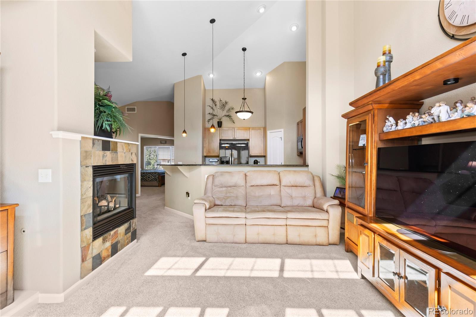 MLS Image #22 for 8614  gold peak drive,highlands ranch, Colorado