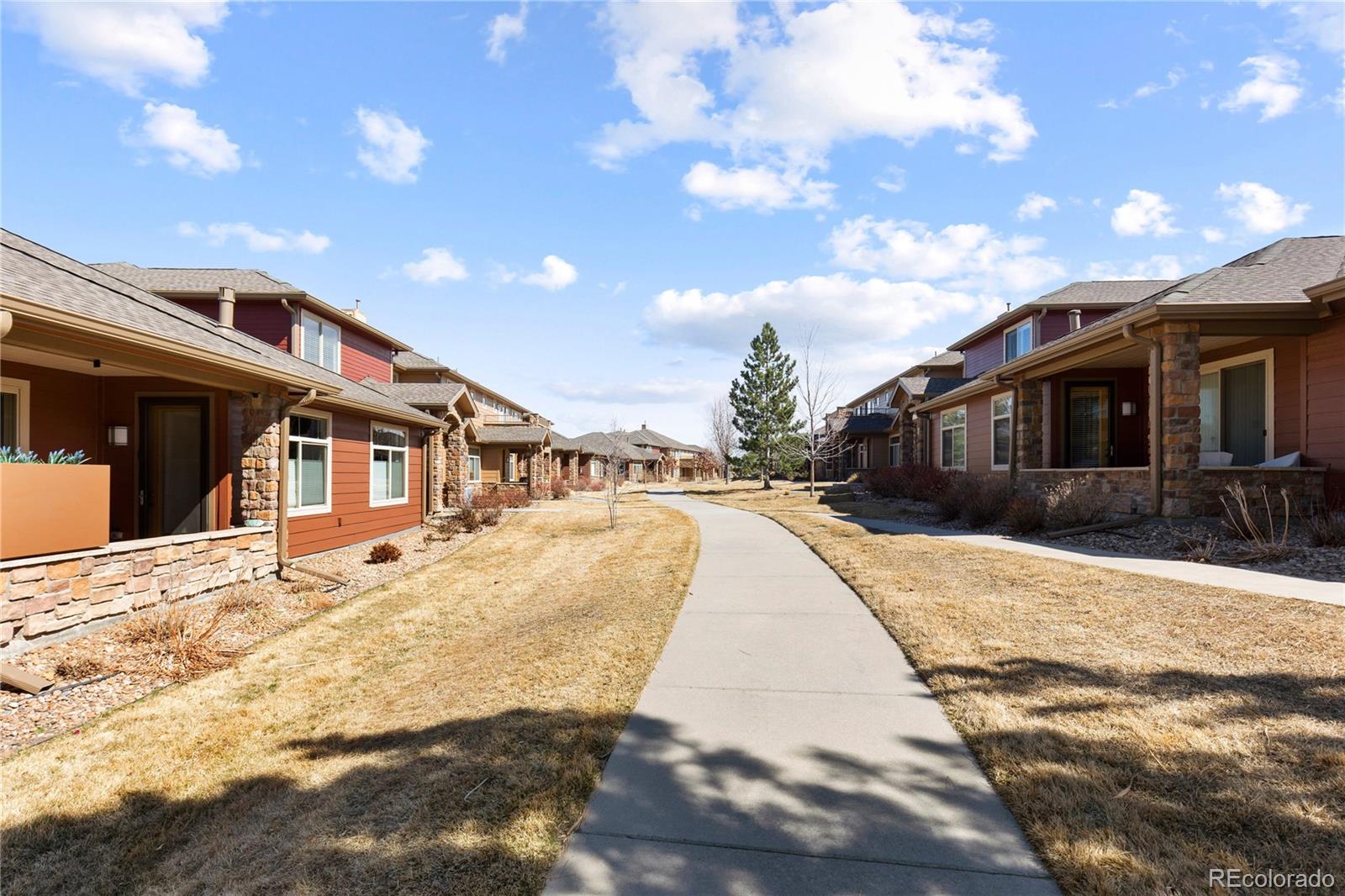 MLS Image #45 for 8614  gold peak drive,highlands ranch, Colorado