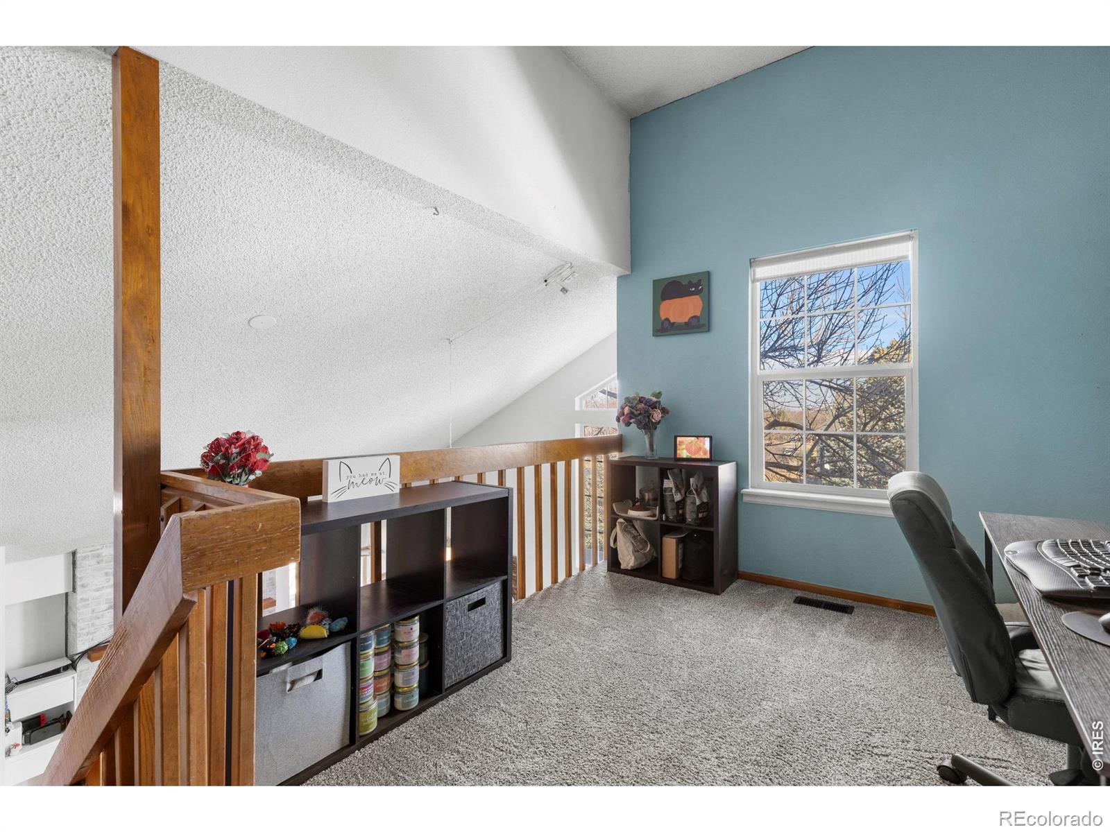 MLS Image #17 for 12292  bannock circle,westminster, Colorado