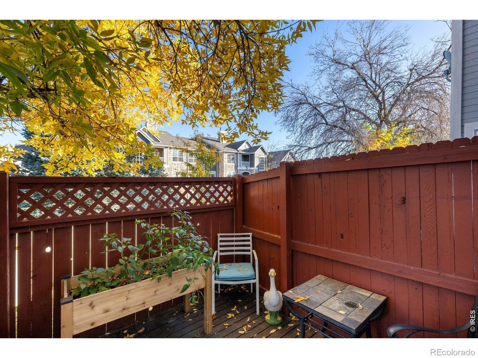 MLS Image #20 for 12292  bannock circle,westminster, Colorado
