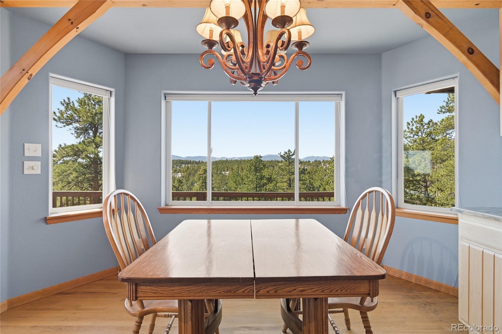 MLS Image #10 for 2050  kerr gulch road,evergreen, Colorado