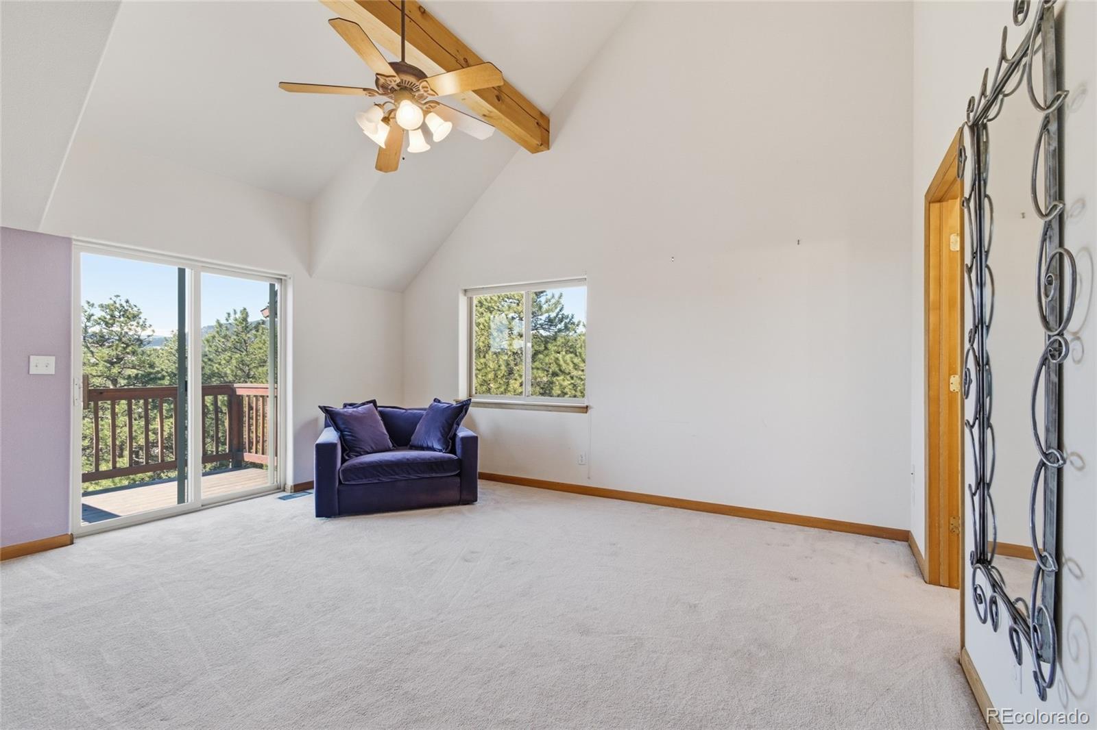 MLS Image #29 for 2050  kerr gulch road,evergreen, Colorado