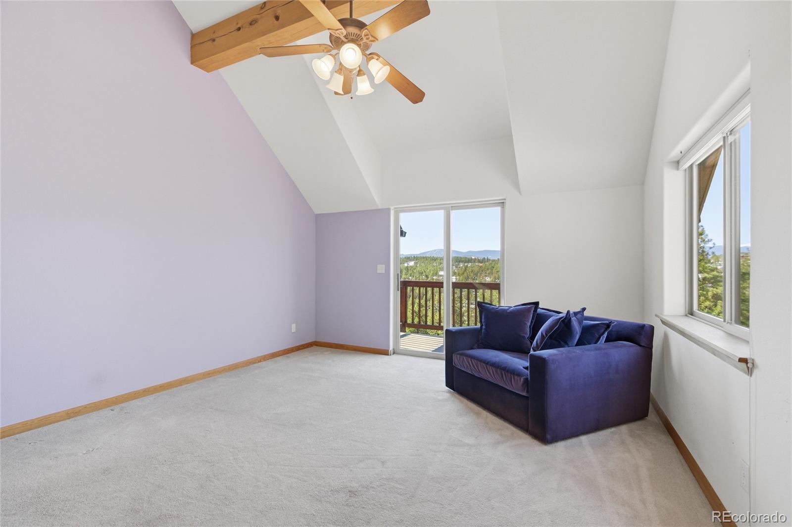 MLS Image #31 for 2050  kerr gulch road,evergreen, Colorado