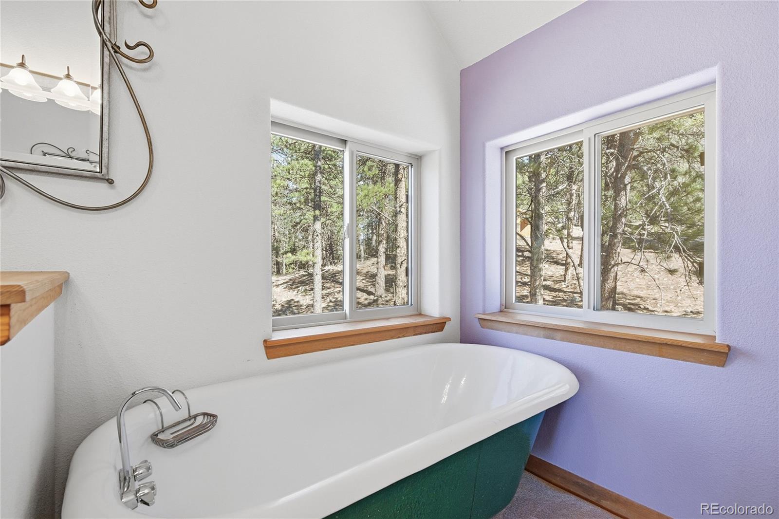 MLS Image #33 for 2050  kerr gulch road,evergreen, Colorado
