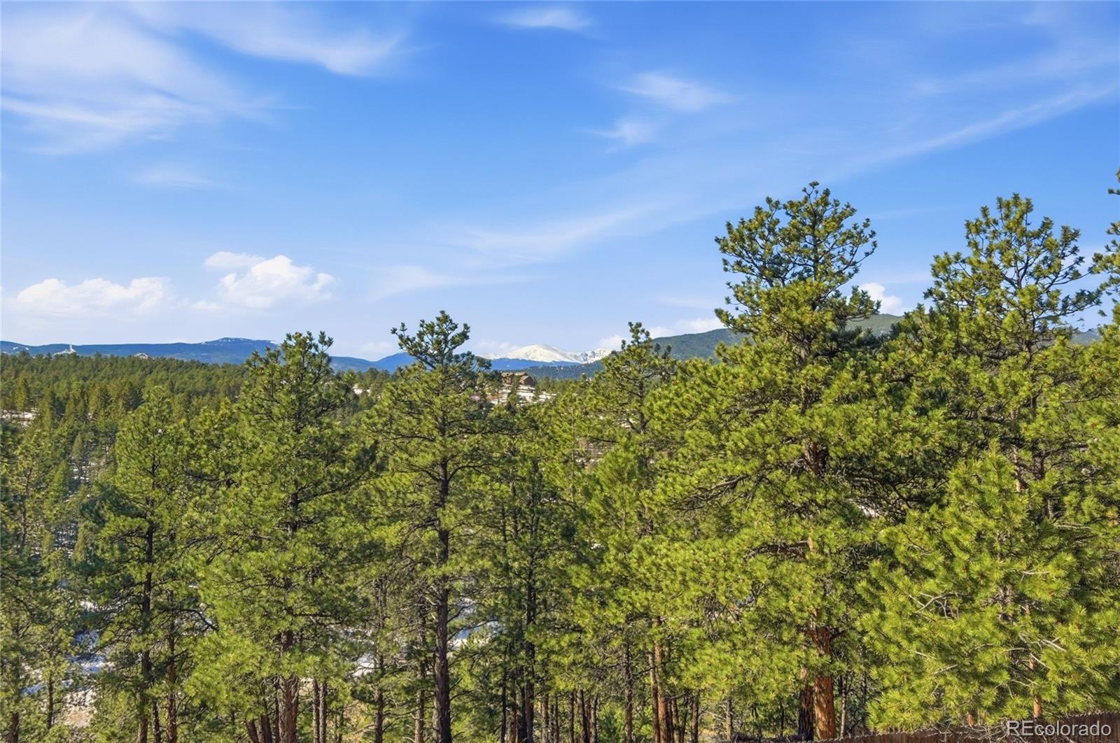 MLS Image #41 for 2050  kerr gulch road,evergreen, Colorado