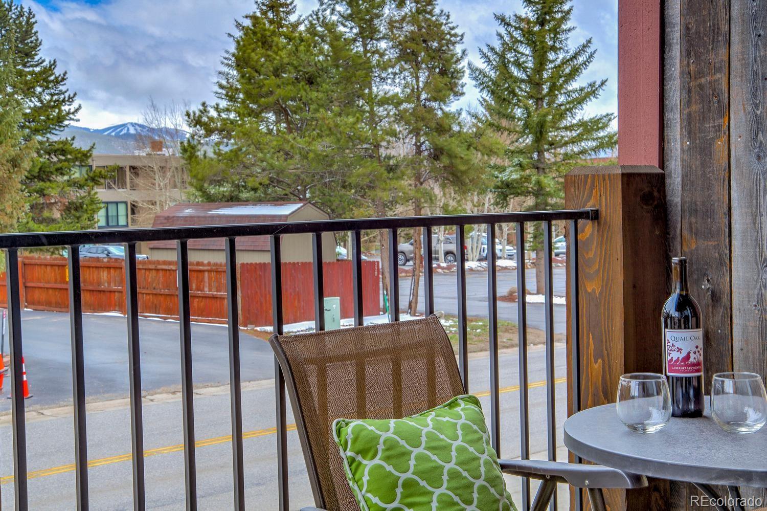 MLS Image #19 for 235 e la bonte street,dillon, Colorado