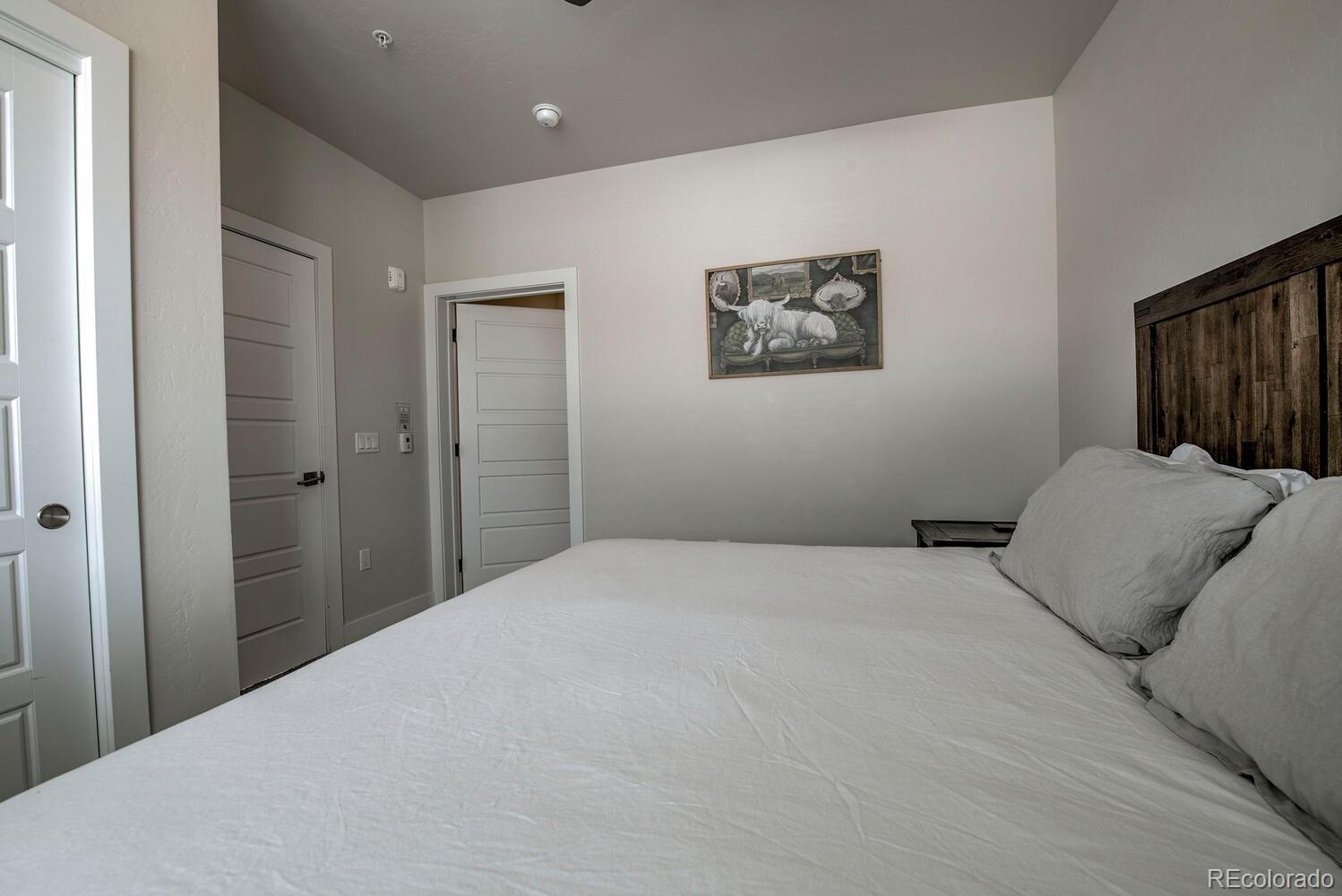MLS Image #8 for 235 e la bonte street,dillon, Colorado