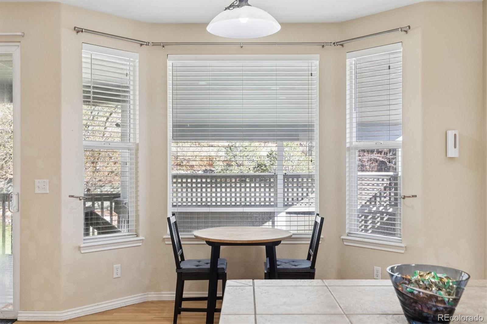 MLS Image #14 for 1831  rhodonite court,castle rock, Colorado