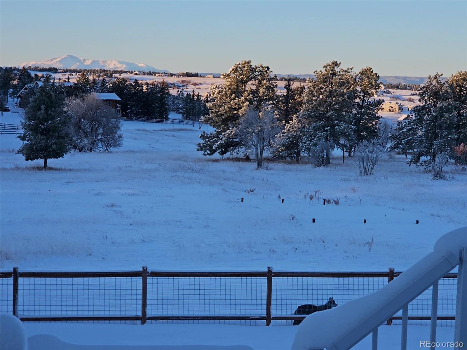 MLS Image #4 for 3973  palmer ridge drive,parker, Colorado