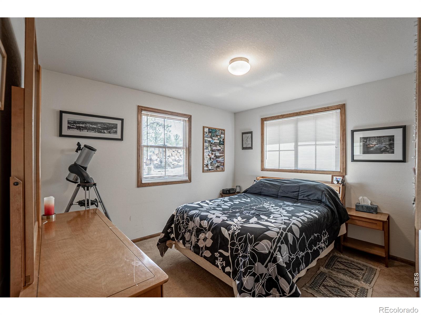 MLS Image #15 for 307  brewster lane,livermore, Colorado