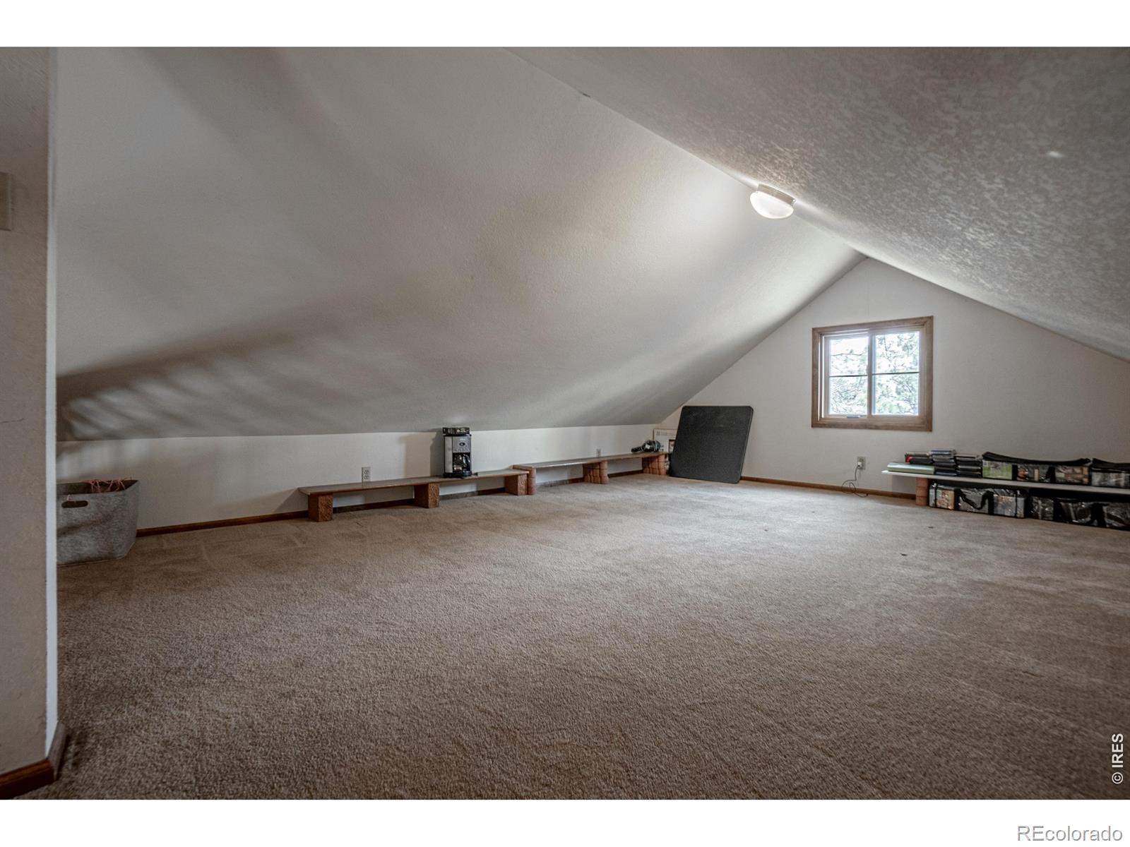 MLS Image #16 for 307  brewster lane,livermore, Colorado