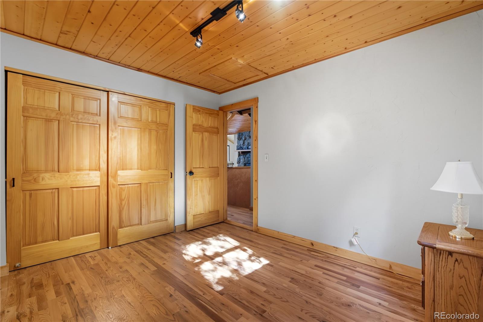 MLS Image #19 for 401  lake road,idaho springs, Colorado
