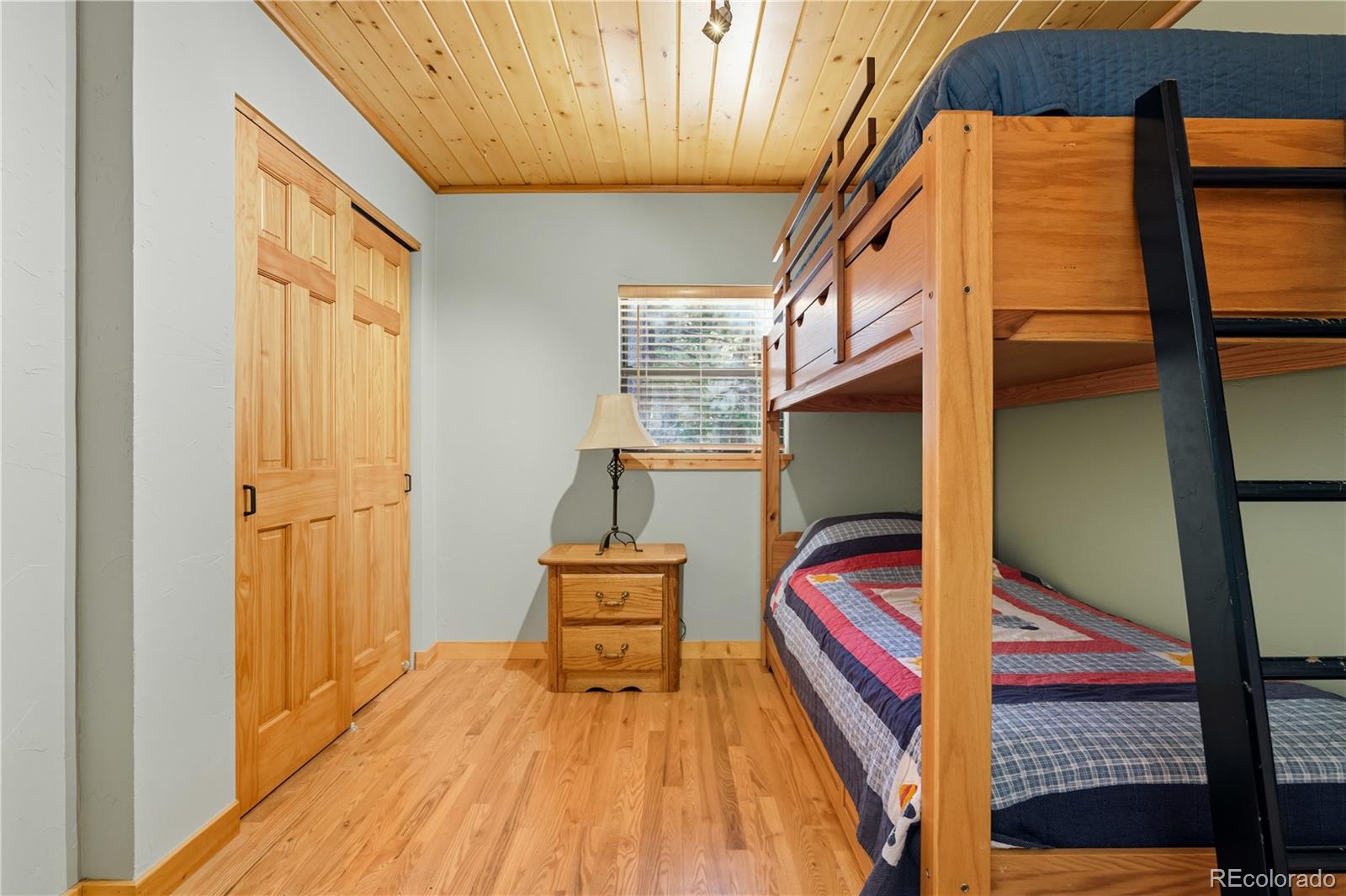 MLS Image #20 for 401  lake road,idaho springs, Colorado