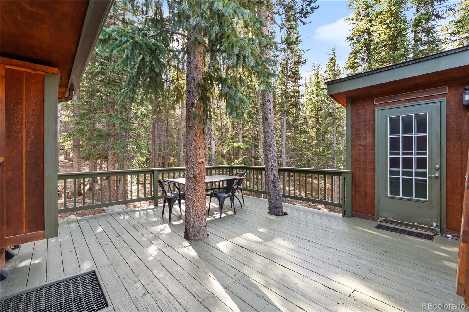 MLS Image #32 for 401  lake road,idaho springs, Colorado