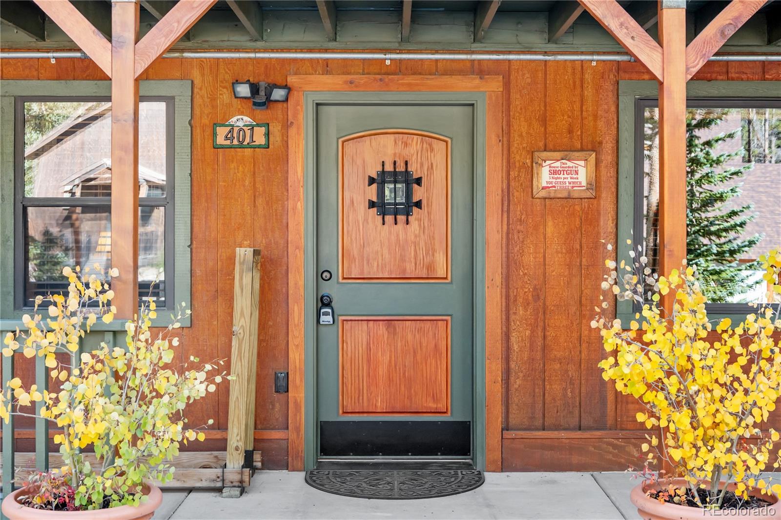 MLS Image #34 for 401  lake road,idaho springs, Colorado