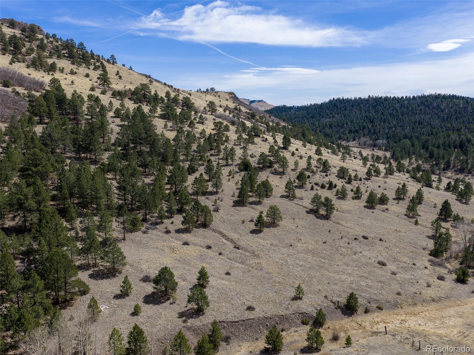 MLS Image #35 for 314 s antelope trail,cotopaxi, Colorado