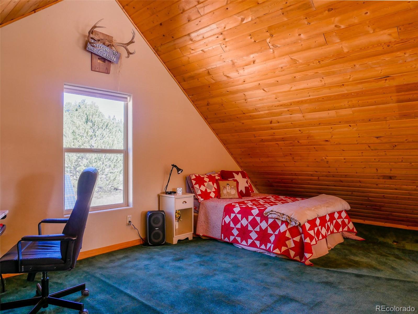 MLS Image #9 for 314 s antelope trail,cotopaxi, Colorado