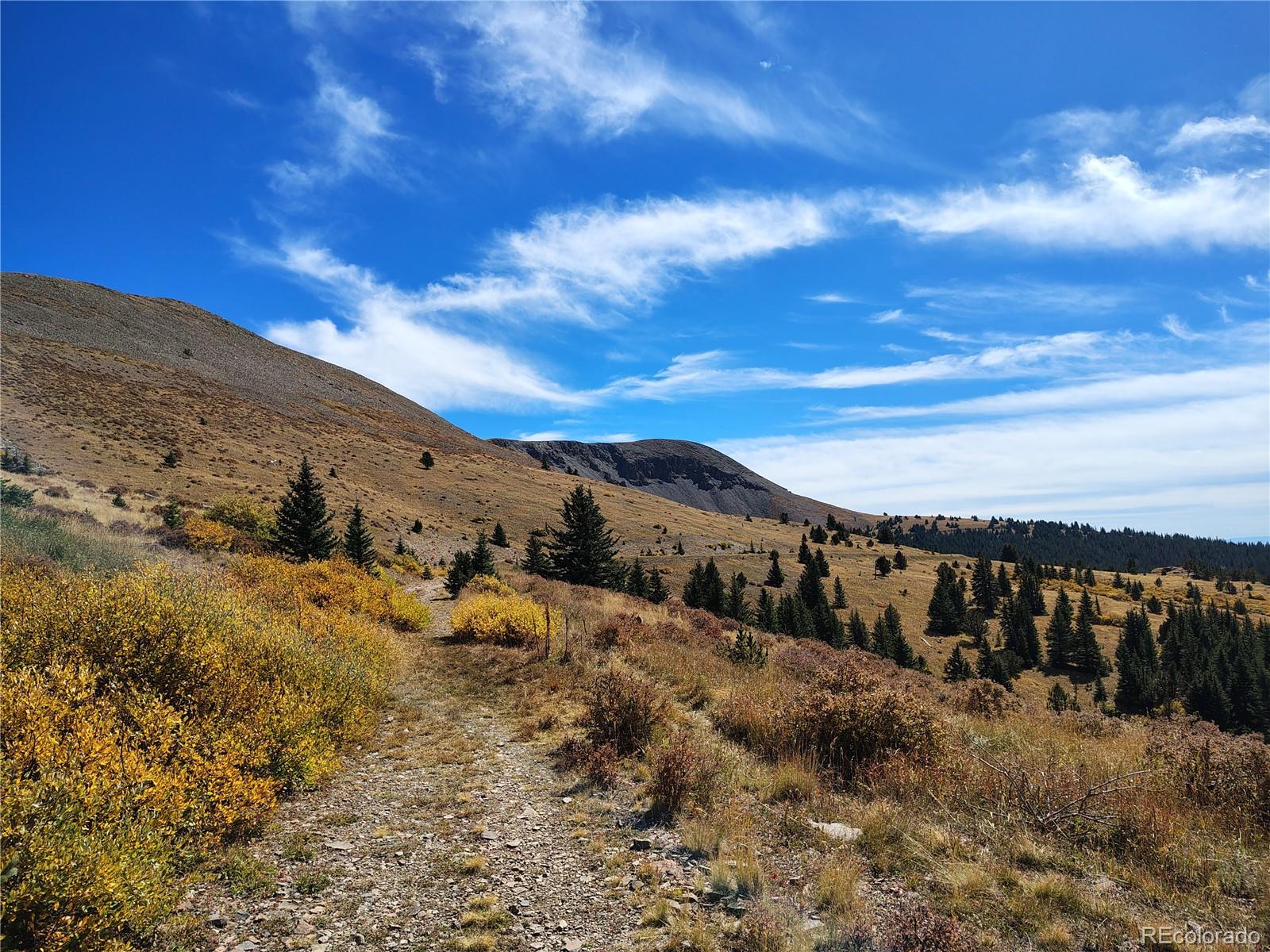 MLS Image #37 for 3939  mcintire drive,colorado city, Colorado