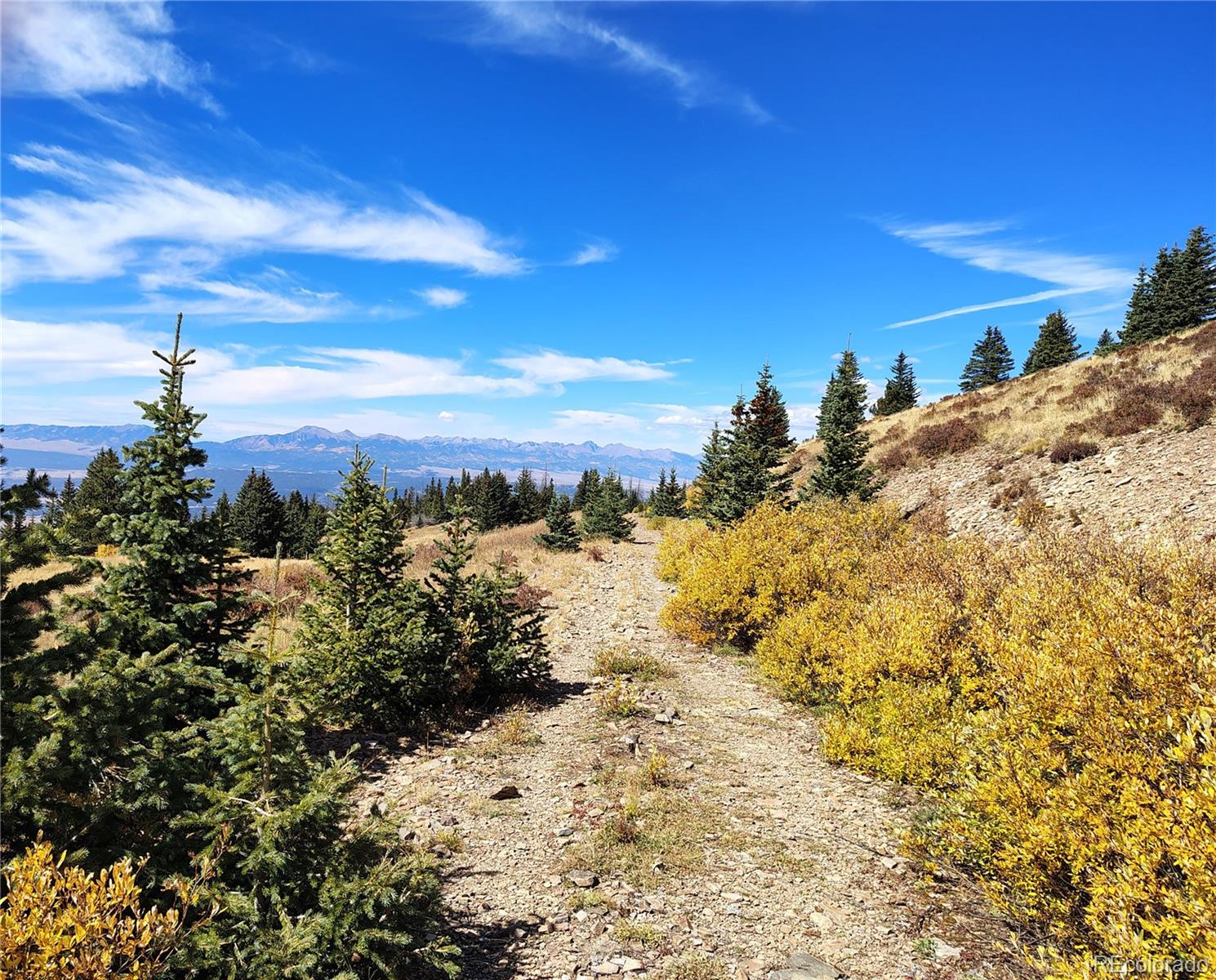 MLS Image #38 for 3939  mcintire drive,colorado city, Colorado