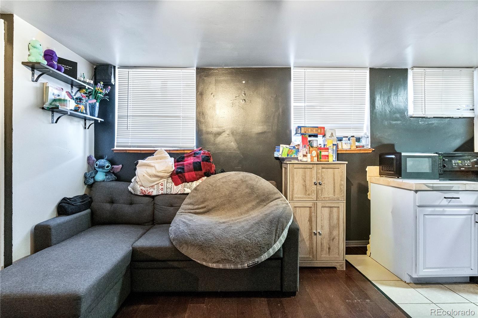 MLS Image #35 for 478 n logan street,denver, Colorado