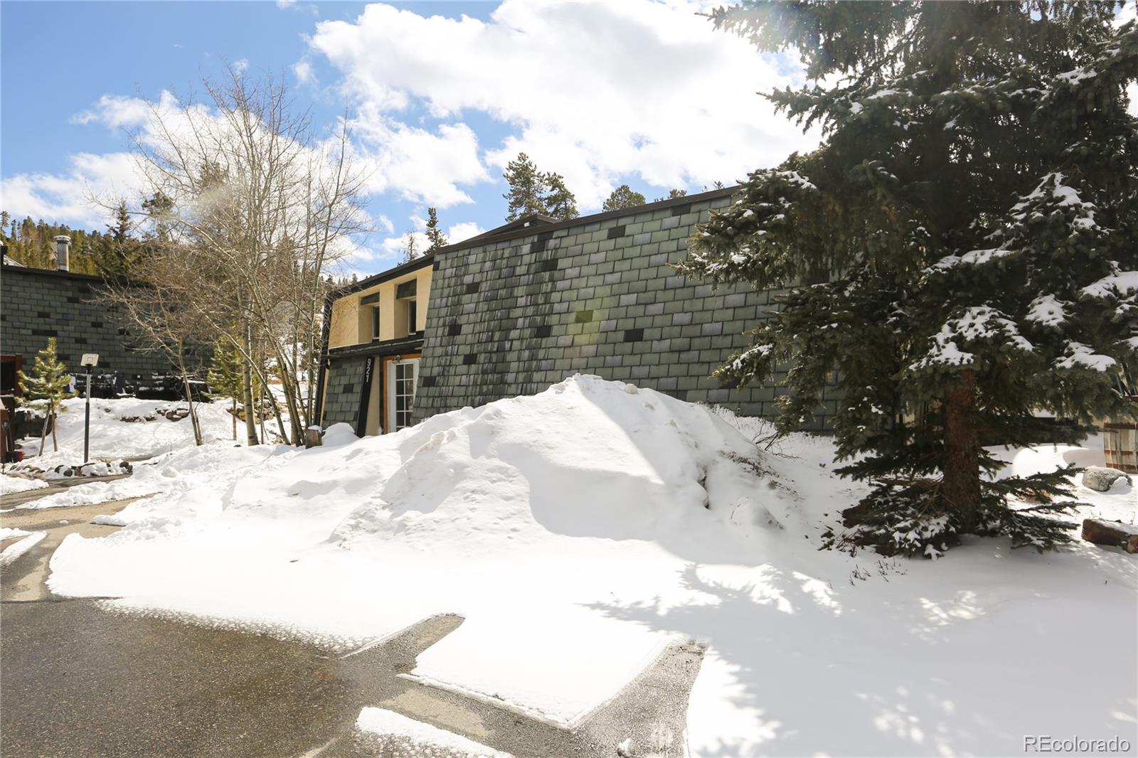 MLS Image #17 for 921  fairview boulevard,breckenridge, Colorado