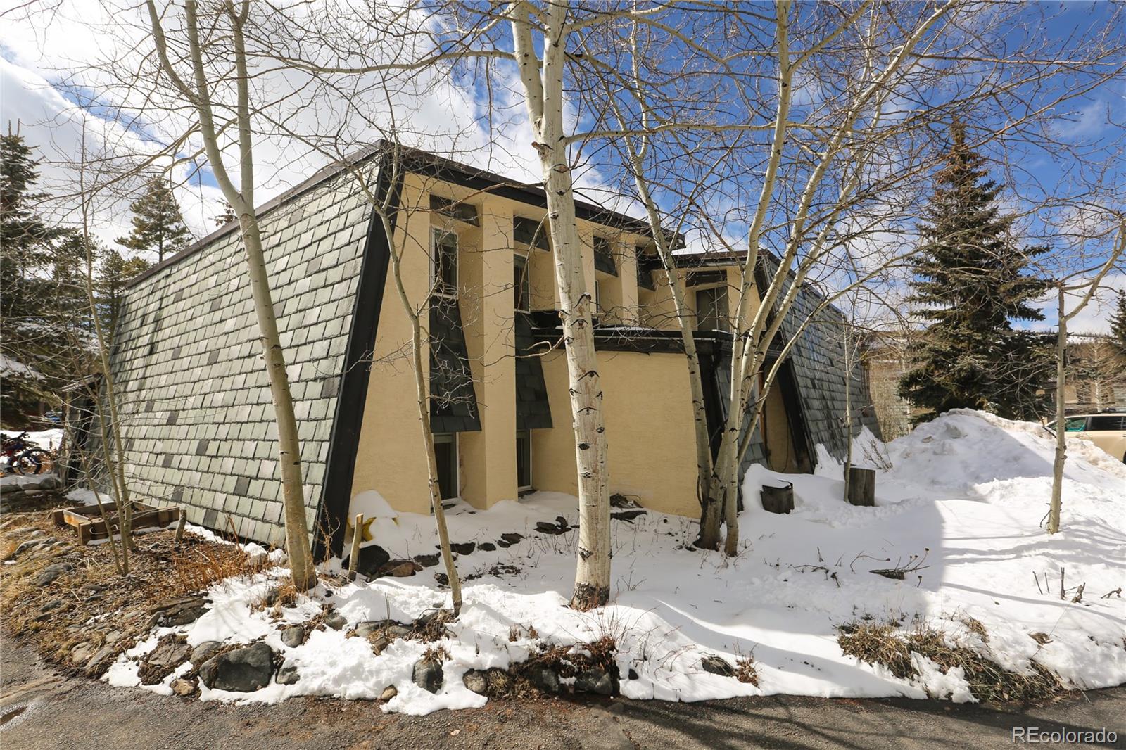 MLS Image #19 for 921  fairview boulevard,breckenridge, Colorado