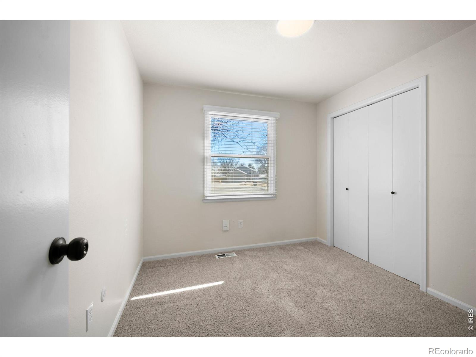 MLS Image #14 for 1217  hunter court,longmont, Colorado