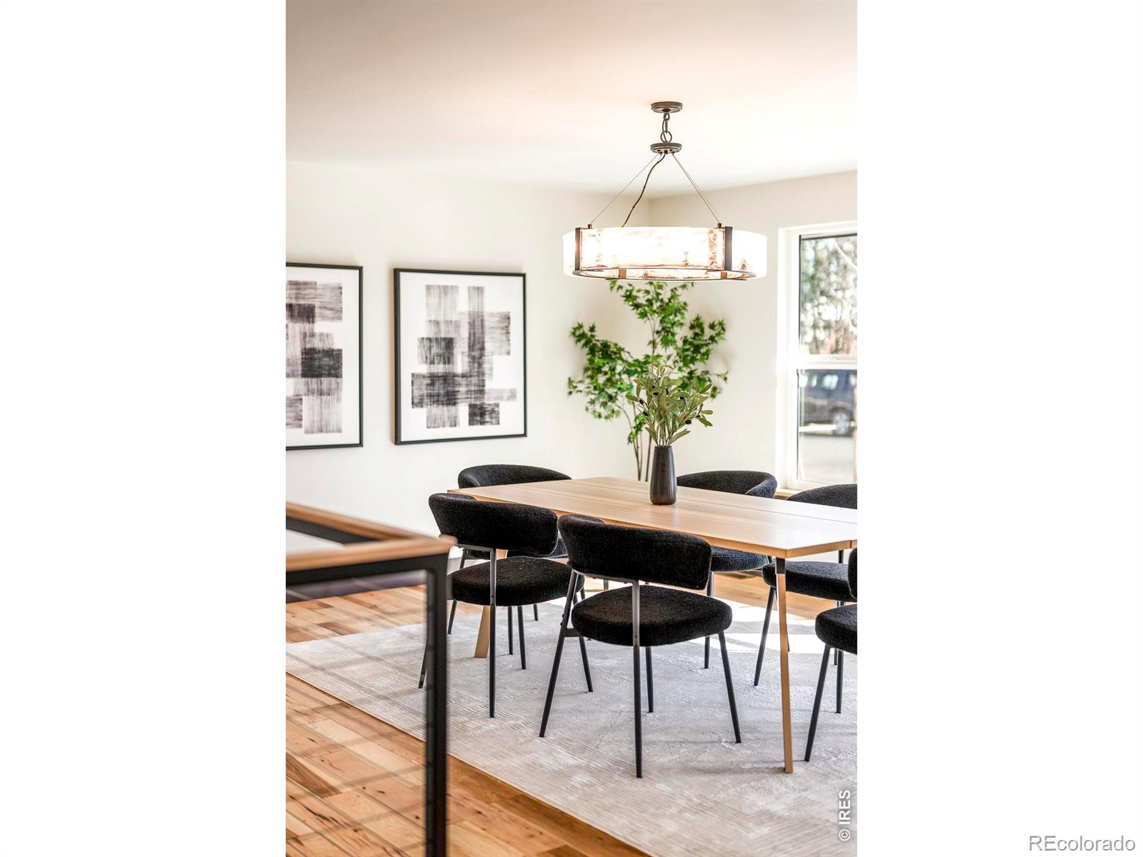 MLS Image #5 for 3125  fremont street,boulder, Colorado