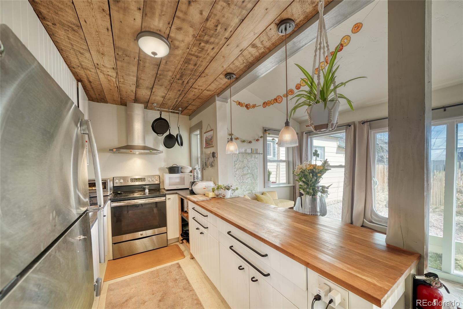 MLS Image #13 for 417 e 10th street,leadville, Colorado