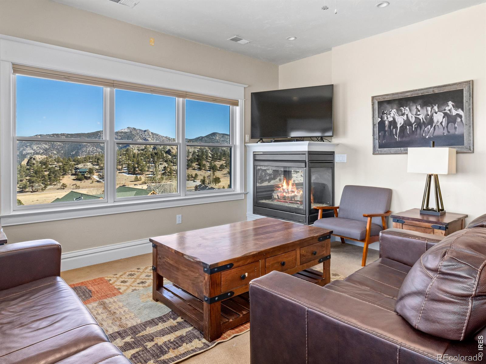 MLS Image #40 for 2625  marys lake road,estes park, Colorado