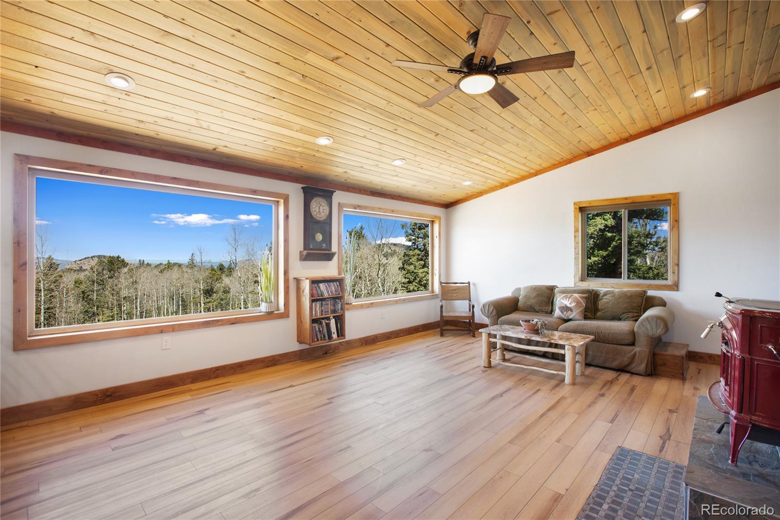 MLS Image #3 for 2747  county road 61 ,cripple creek, Colorado