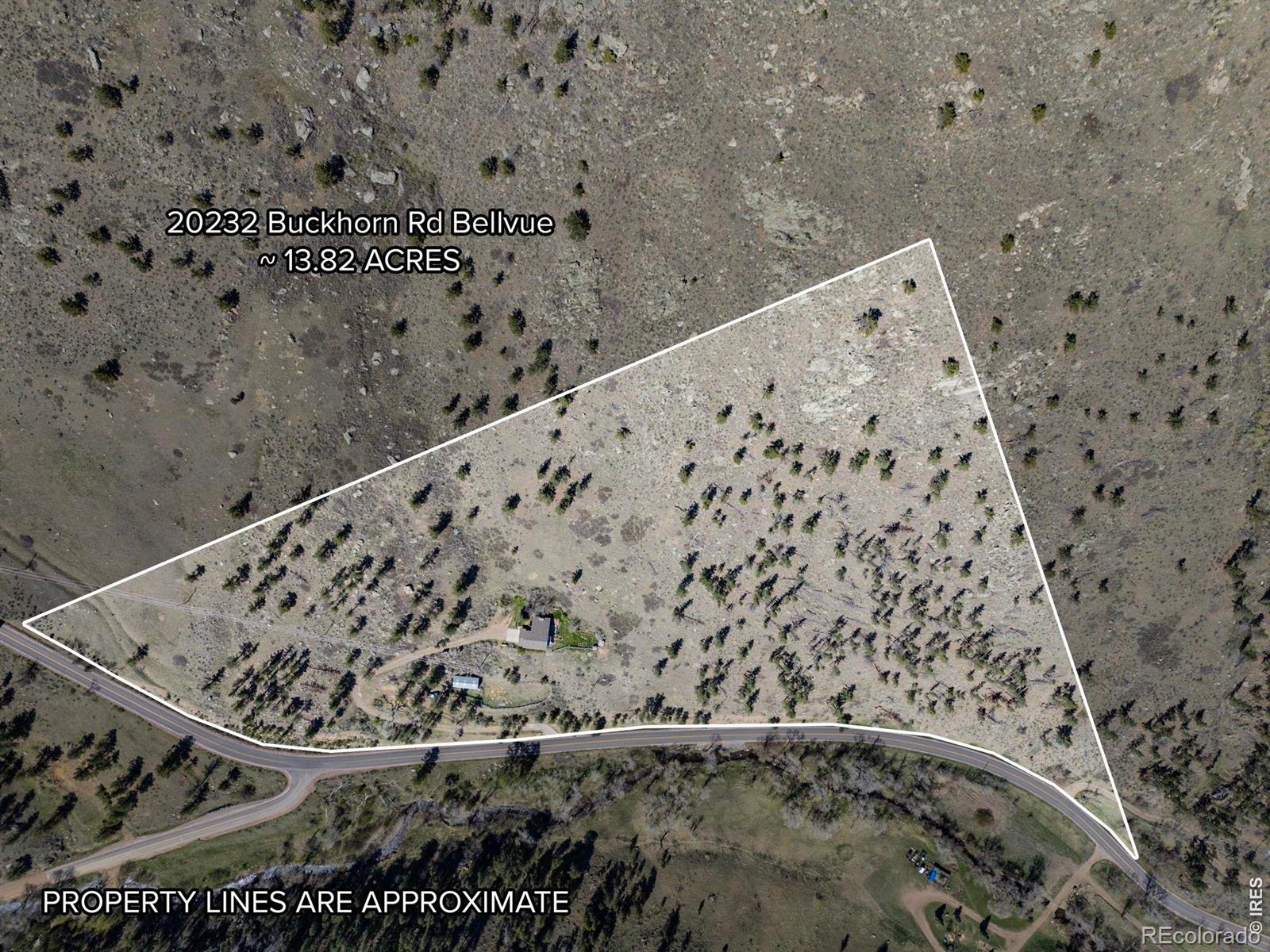 MLS Image #3 for 20232  buckhorn road,bellvue, Colorado