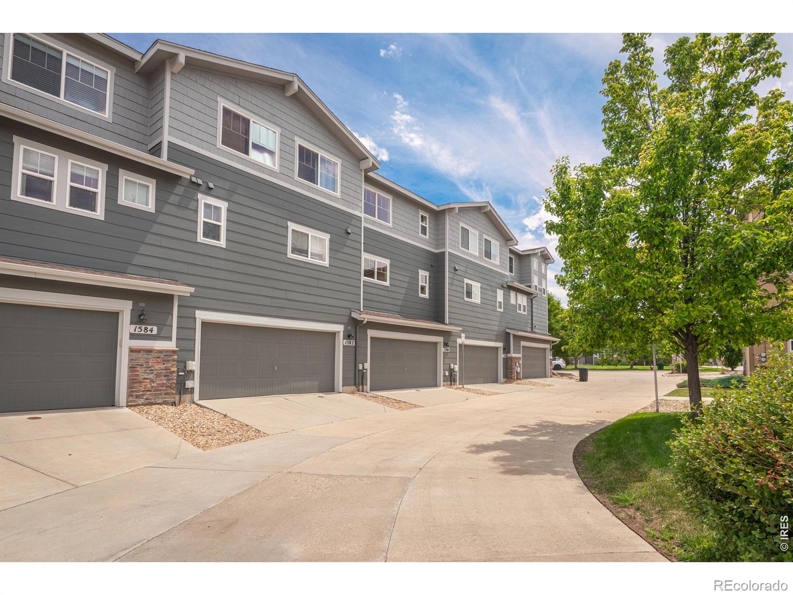 MLS Image #20 for 1580  venice lane,longmont, Colorado