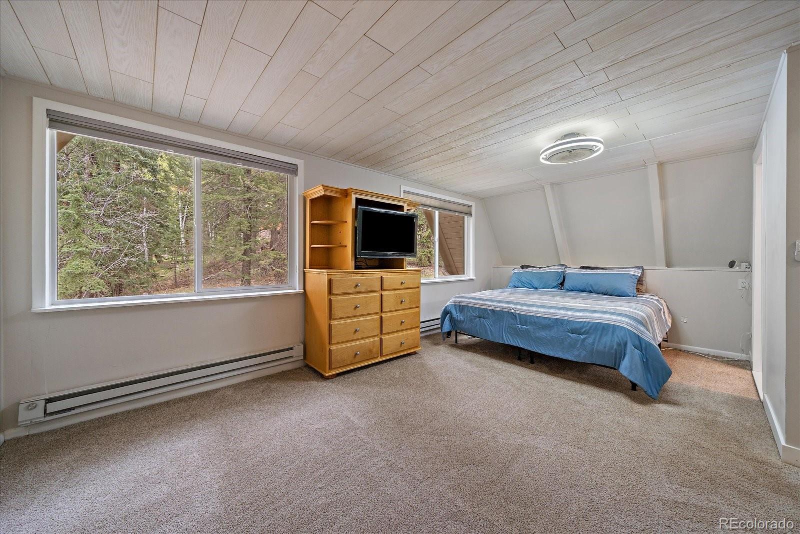 MLS Image #18 for 307  snyder mountain road,evergreen, Colorado