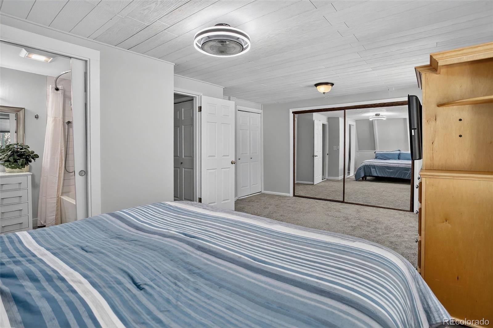 MLS Image #19 for 307  snyder mountain road,evergreen, Colorado