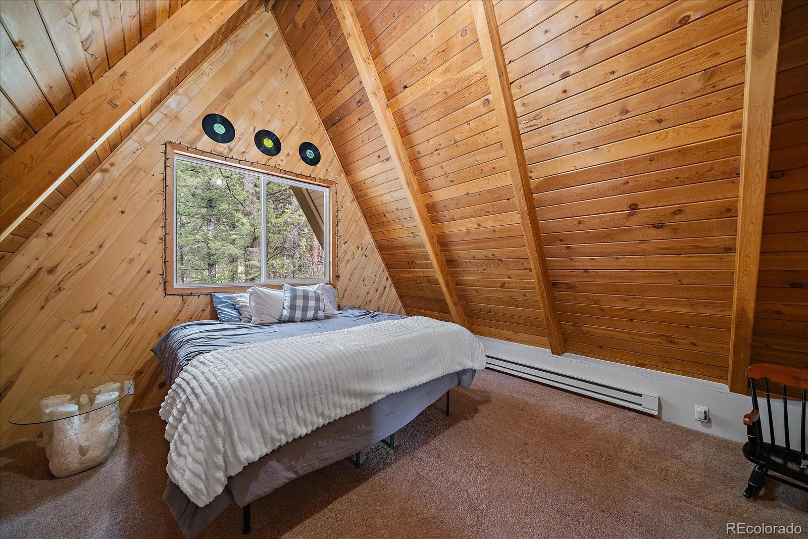 MLS Image #23 for 307  snyder mountain road,evergreen, Colorado