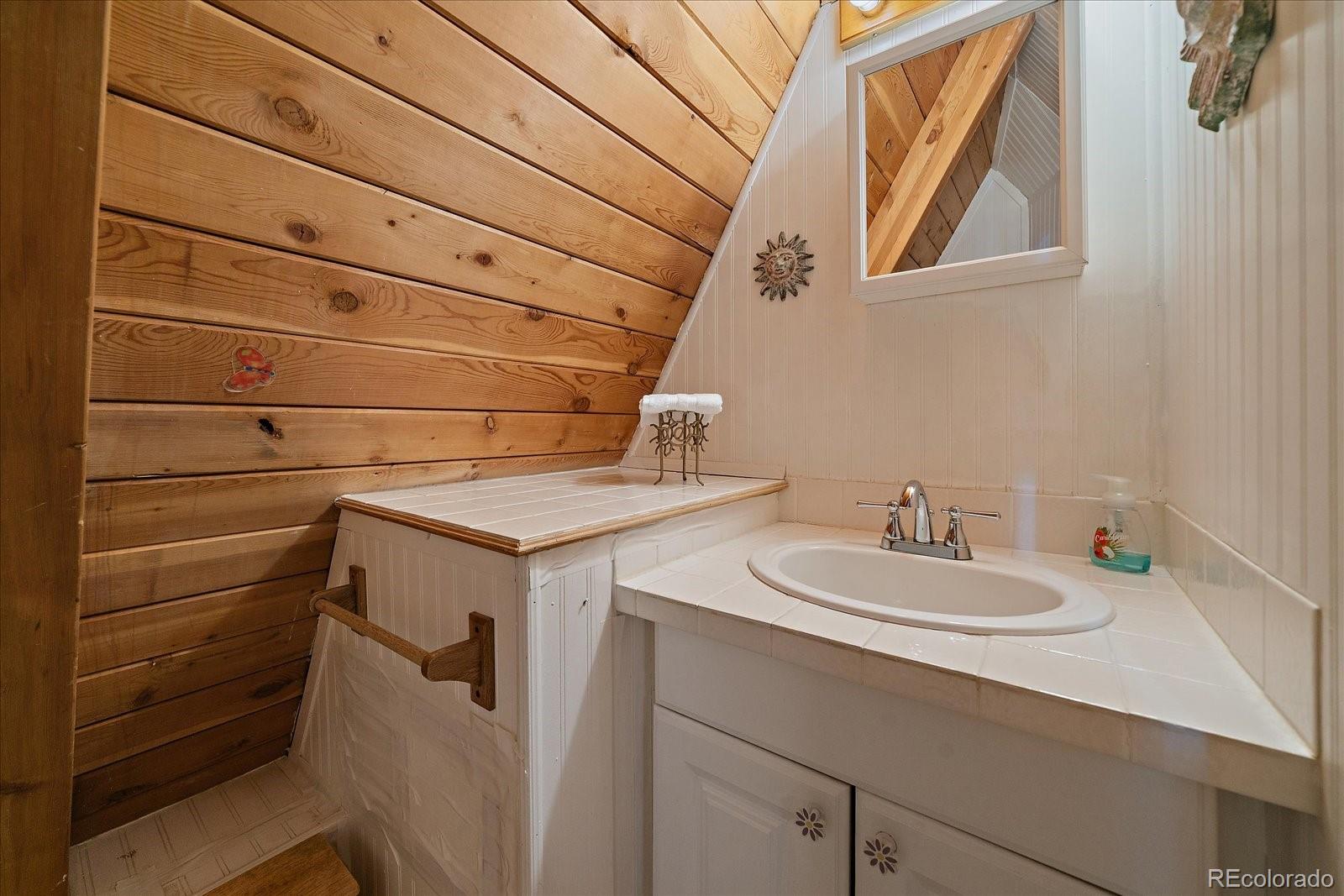 MLS Image #25 for 307  snyder mountain road,evergreen, Colorado