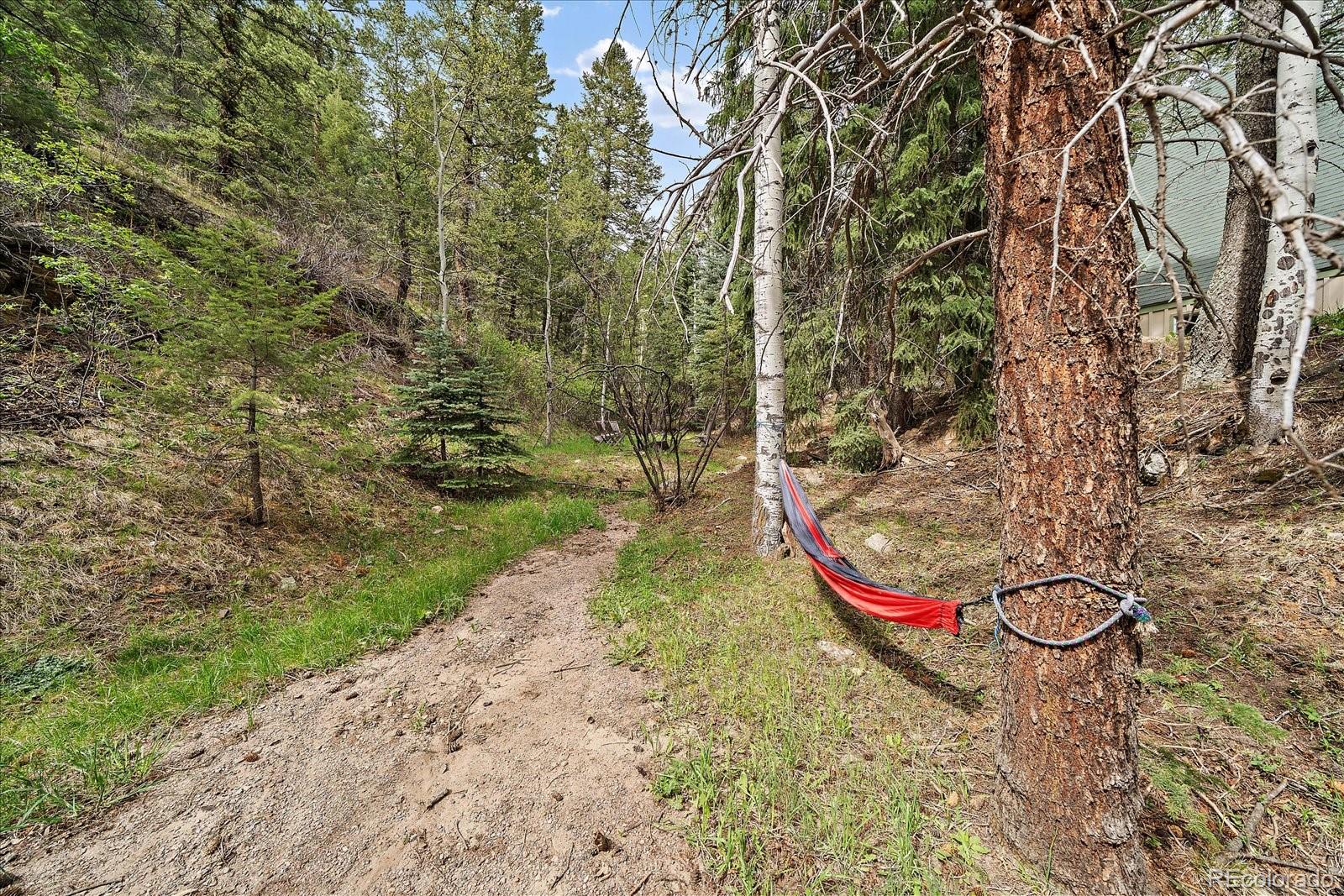 MLS Image #37 for 307  snyder mountain road,evergreen, Colorado