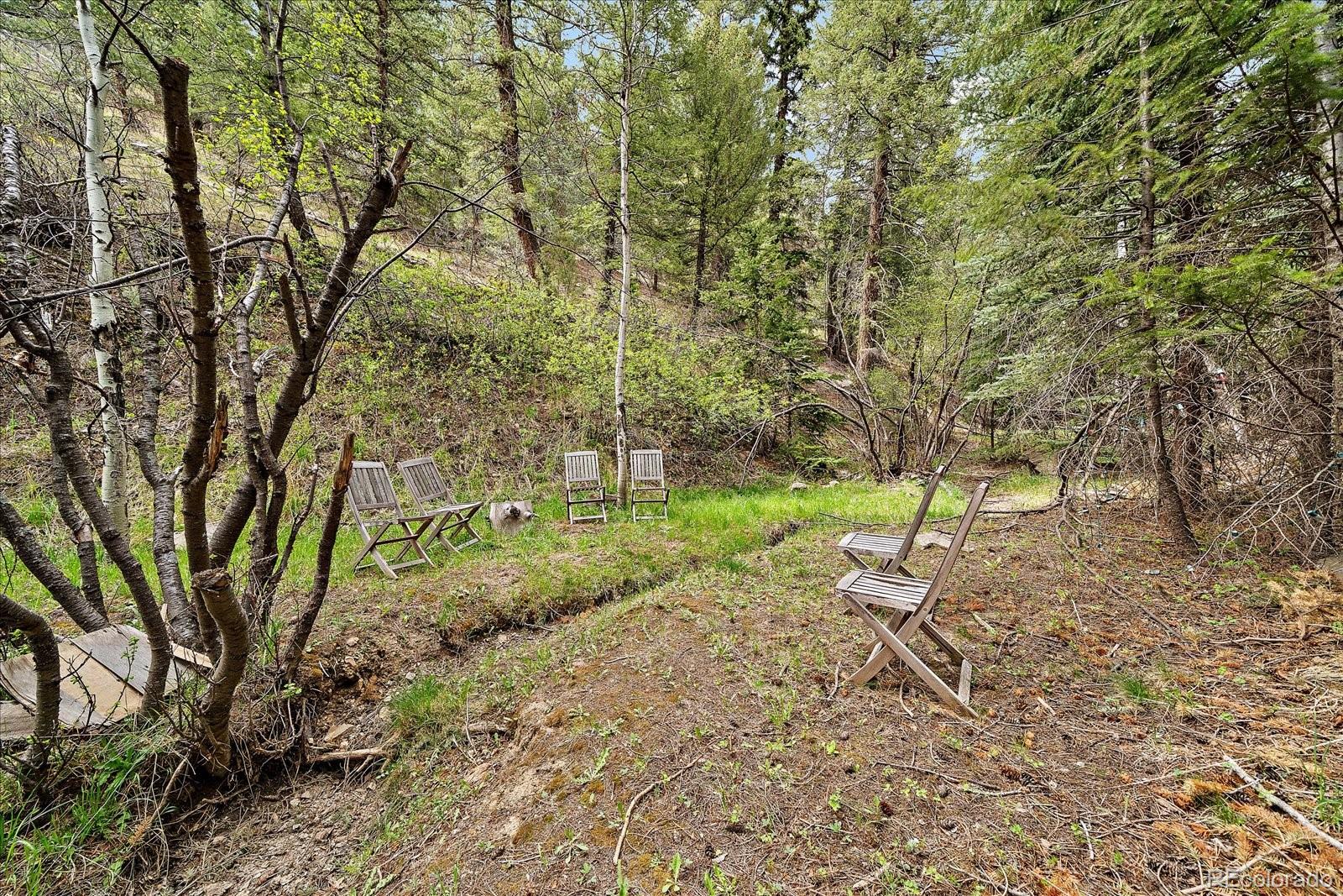 MLS Image #38 for 307  snyder mountain road,evergreen, Colorado