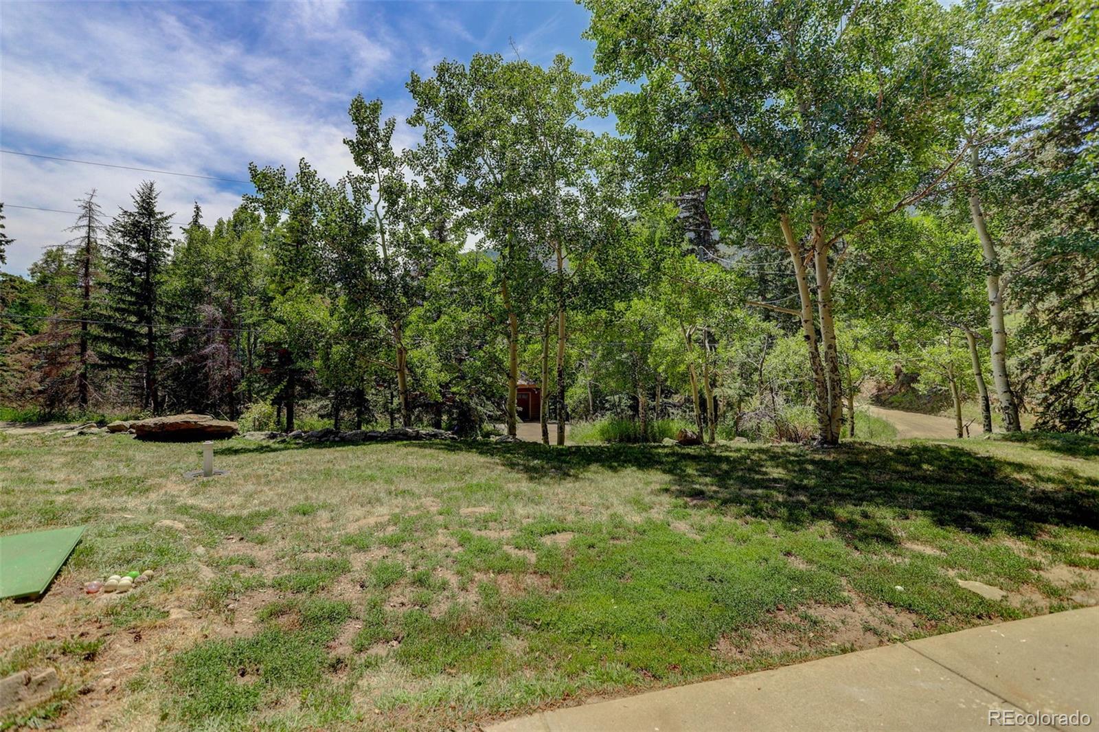MLS Image #43 for 307  snyder mountain road,evergreen, Colorado
