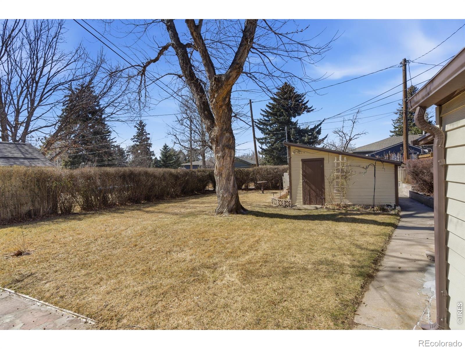 MLS Image #19 for 1143  harrison avenue,loveland, Colorado