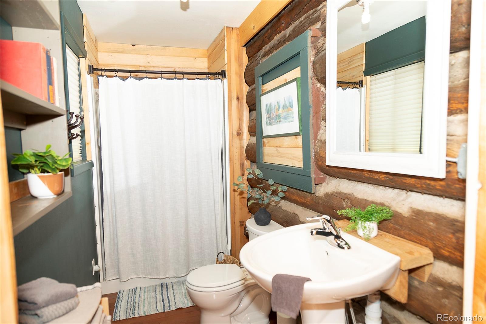 MLS Image #21 for 289 s main street,creede, Colorado
